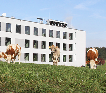 das flax allgäu