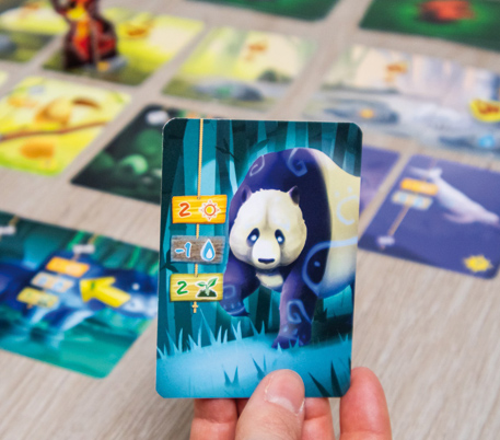 Spiele-Set